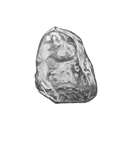 Représentation du diamant excelsior par Edwin W. Streeter